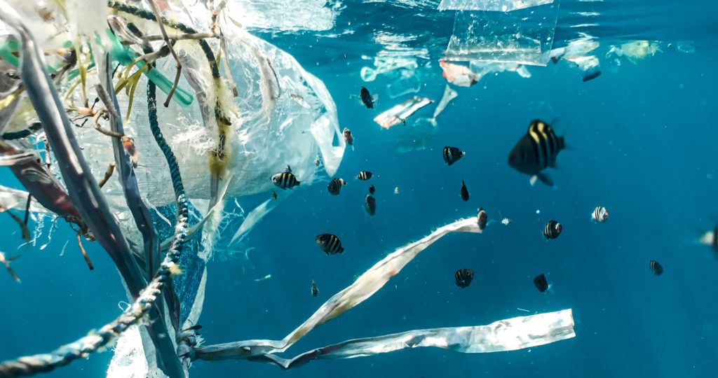 Un accord international historique dans la lutte contre la pollution plastique  
